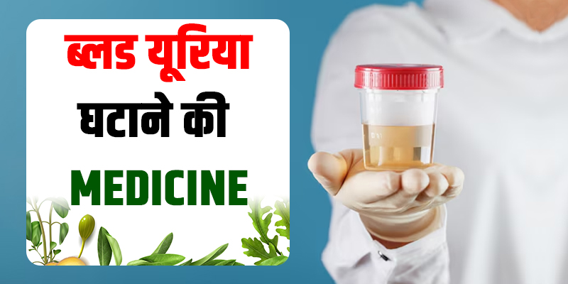 ब्लड-यूरिया-घटाने-की-medicine